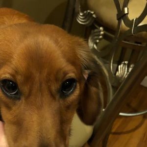 Meet your Posher, Matt